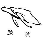 鯨魚及圖