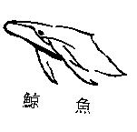 鯨魚及圖