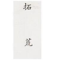 拓荒 PIONEER IN Chinese