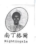 南丁格爾 Nightingale 及圖