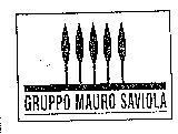 GRUPPO MAURO SAVIOLA