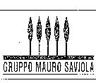GRUPPO MAURO SAVIOLA