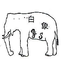 白象及圖