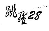 跳躍 28