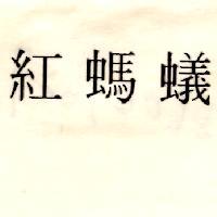 紅螞蟻
