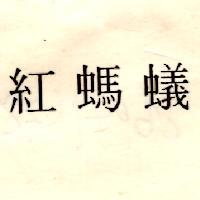 紅螞蟻