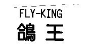 鴿王 FLY-KING