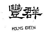 豐群 HOLMS GREEN