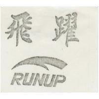 飛躍及圖 RUNUP