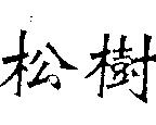 松樹