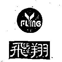 飛翔及圖 FLYING 