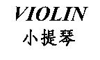 VIOLIN 小提琴