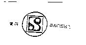 寶時 BAOSHI 及圖