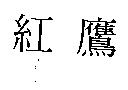 紅鷹