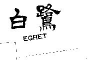 白鷺 EGRET