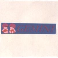 GEMINI 及圖