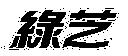 綠芝