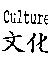 Culture 文化