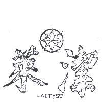 萊潔及圖 LAITEST 