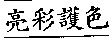 亮彩護色