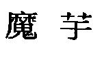 魔芋