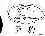 亞豹及圖 ASIA OF PANTHER