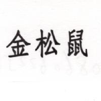金松鼠