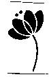 花之圖