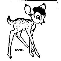 BAMBI & Device