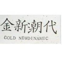 金新潮代 GOLD NEWDINAMIC