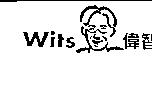 偉智 Wits 及圖