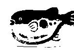 魚圖
