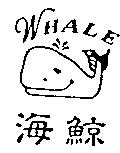 海鯨 WHALE 及圖