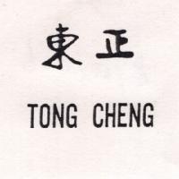 東正 TONG CHENG