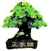 正家麟及圖