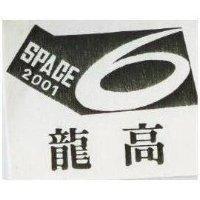龍高及圖 SPACE 2001