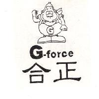 合正及圖 G-force