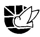 泰瑞國際公司標章