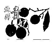 統洋貴妃及圖