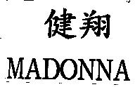 健翔 MADONNA