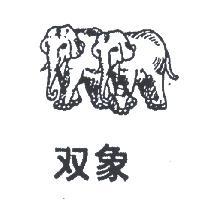 雙象及圖