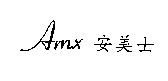 AMX 安美士