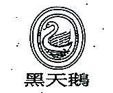 黑天鵝及圖