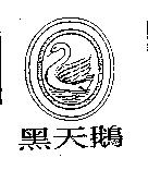 黑天鵝及圖