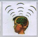 IQ.EQ.NQ.MQ 及圖