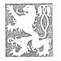 LION DESIGN 獅子圖樣