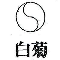 白菊及圖