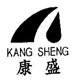 康盛 KANG SHENG 及圖