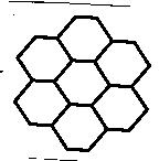 泰宗生物科技股份有限公司標章