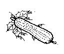 吳竹助標章